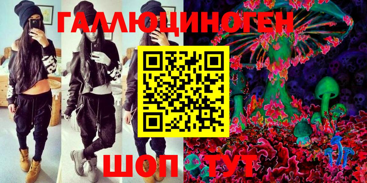 Псилоцибиновые грибы Cubensis Шахты